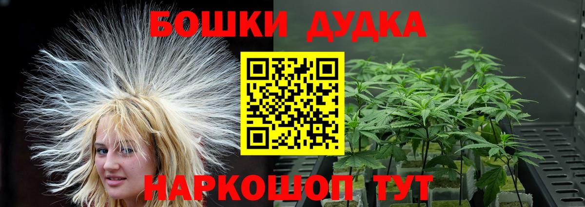 Конопля Amnesia  МАРИХУАНА семена  МАРИХУАНА THC 21%  Самара  Вход с VPN 